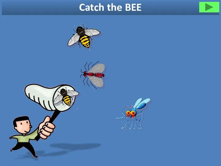 Catch the BEE