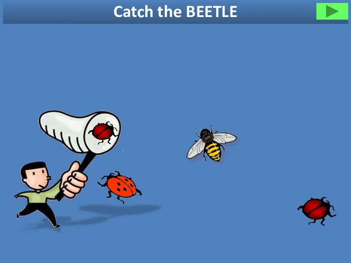 Catch the BEETLE