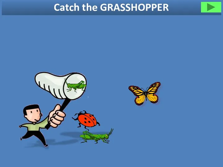 Catch the GRASSHOPPER