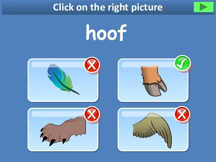 Click on the right picture hoof