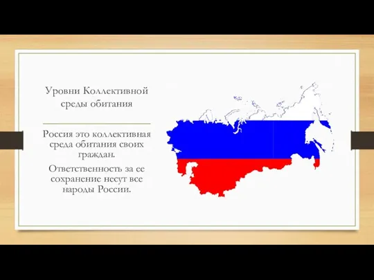 Уровни Коллективной среды обитания Россия это коллективная среда обитания своих