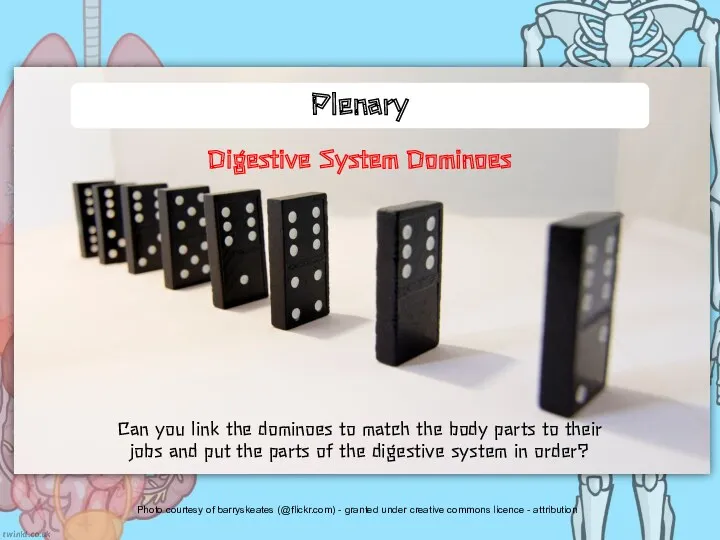 Plenary Digestive System Dominoes Can you link the dominoes to