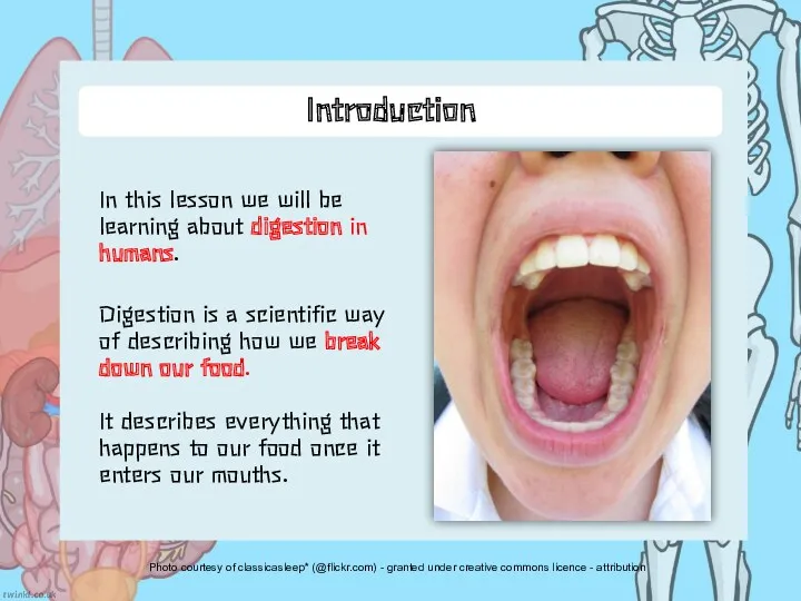 Introduction Digestion is a scientific way of describing how we