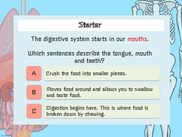 Starter The digestive system starts in our mouths. Which sentences