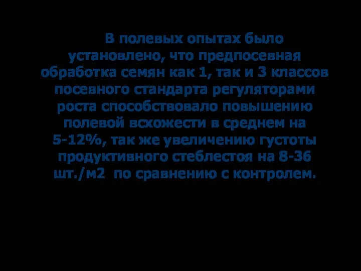 В полевых опытах было установлено, что предпосевная обработка семян как