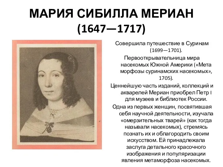 МАРИЯ СИБИЛЛА МЕРИАН (1647—1717) Совершила путешествие в Суринам (1699—1701). Первооткрывательница