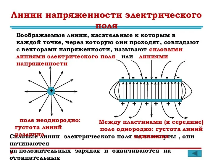 Линии напряженности электрического поля Воображаемые линии, касательные к которым в