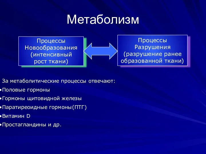 Метаболизм За метаболитические процессы отвечают: Половые гормоны Гормоны щитовидной железы