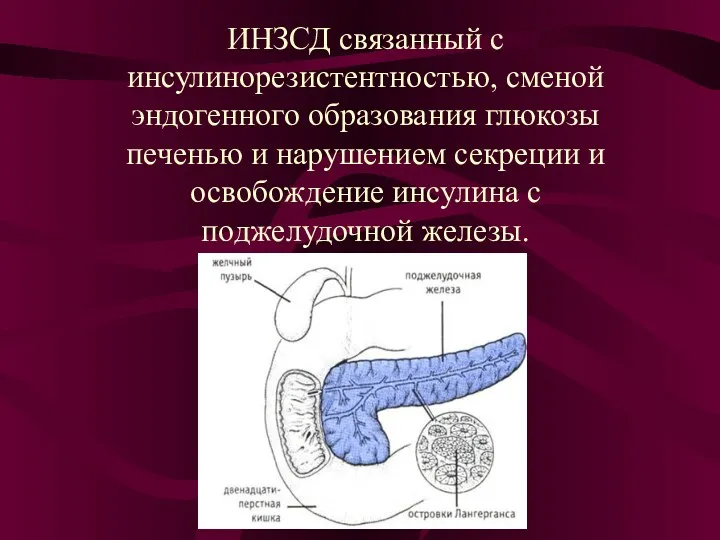 ИНЗСД связанный с инсулинорезистентностью, сменой эндогенного образования глюкозы печенью и