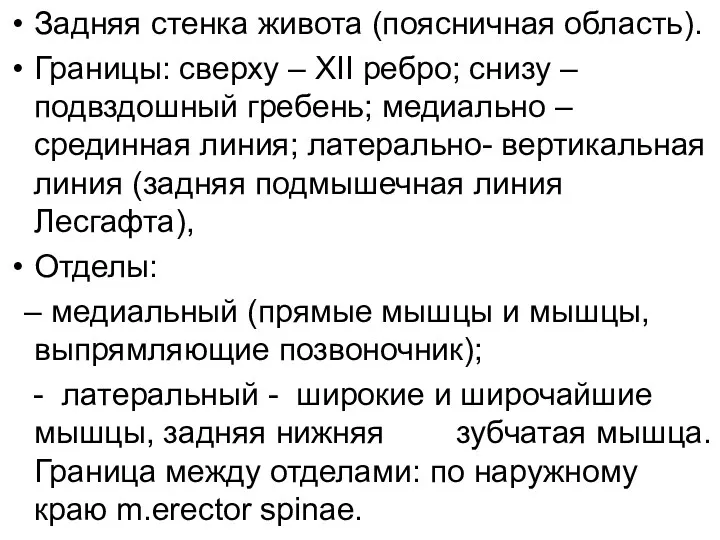 Задняя стенка живота (поясничная область). Границы: сверху – XII ребро;