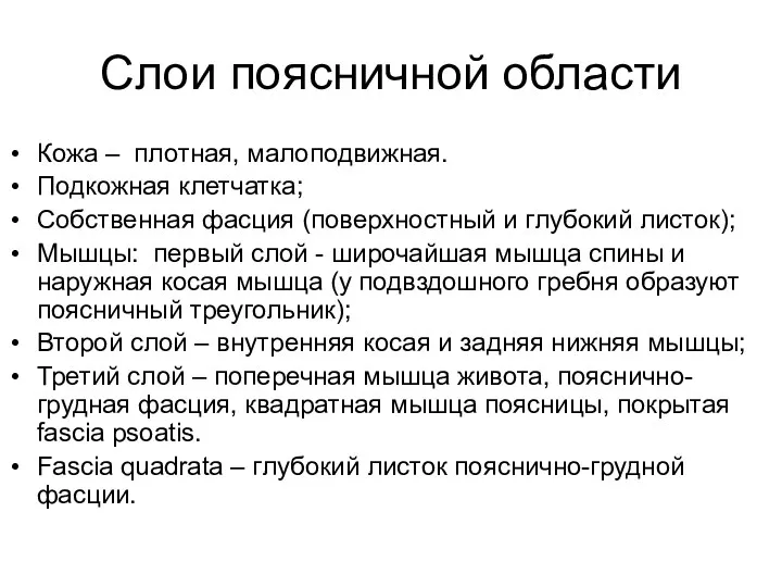 Слои поясничной области Кожа – плотная, малоподвижная. Подкожная клетчатка; Собственная