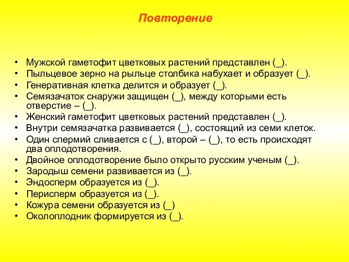 Мужской гаметофит цветковых растений представлен (_). Пыльцевое зерно на рыльце