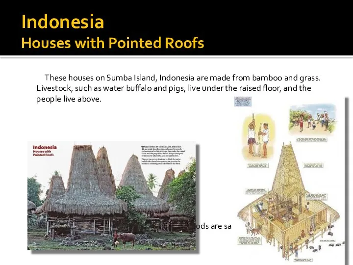 Indonesia Houses with Pointed Roofs These houses on Sumba Island,
