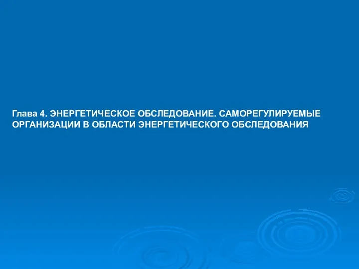 Глава 4. ЭНЕРГЕТИЧЕСКОЕ ОБСЛЕДОВАНИЕ. САМОРЕГУЛИРУЕМЫЕ ОРГАНИЗАЦИИ В ОБЛАСТИ ЭНЕРГЕТИЧЕСКОГО ОБСЛЕДОВАНИЯ