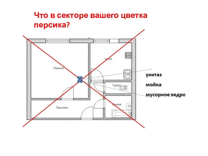 Что в секторе вашего цветка персика?