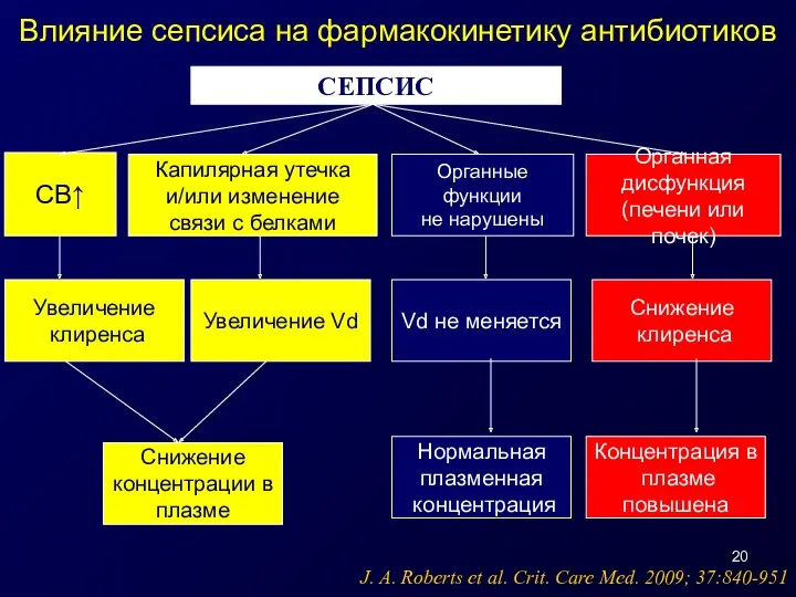 СЕПСИС СВ↑ Капилярная утечка и/или изменение связи с белками Органные