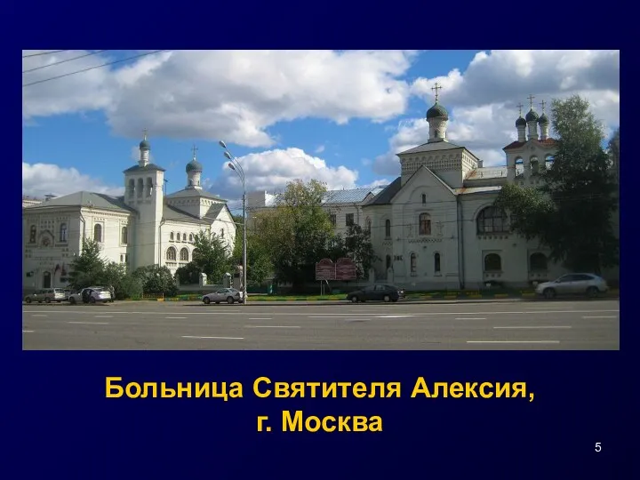 Больница Святителя Алексия, г. Москва