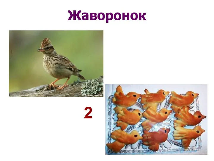 Жаворонок 2