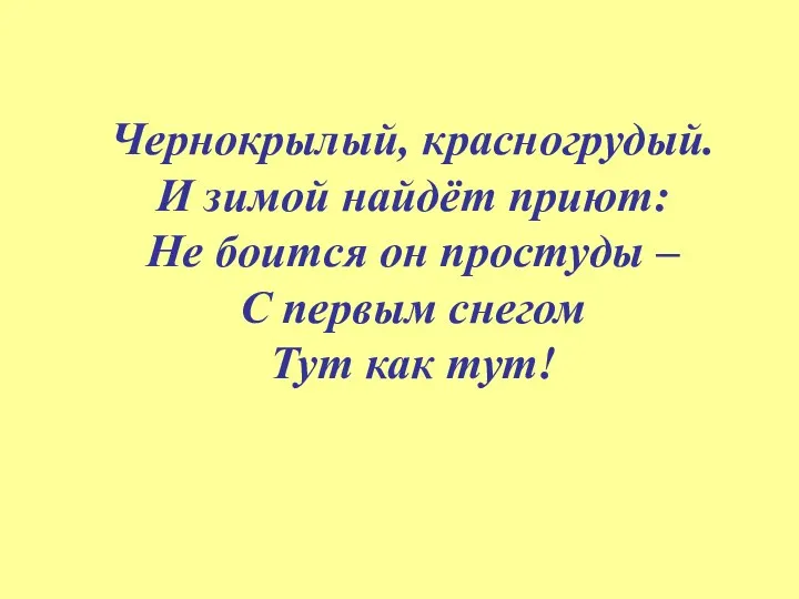 Чернокрылый, красногрудый. И зимой найдёт приют: Не боится он простуды