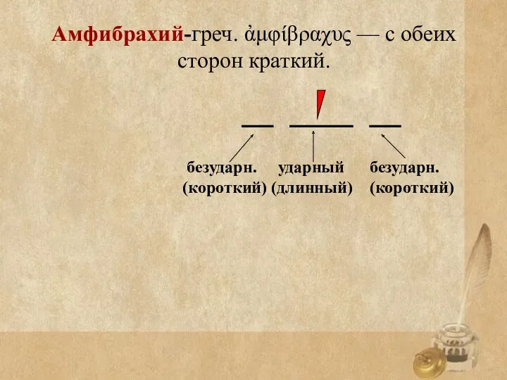 Амфибрахий-греч. ἀμφίβραχυς — с обеих сторон краткий. безударн. ударный безударн. (короткий) (длинный) (короткий)