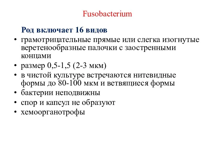 Fusobacterium Род включает 16 видов грамотрицательные прямые или слегка изогнутые