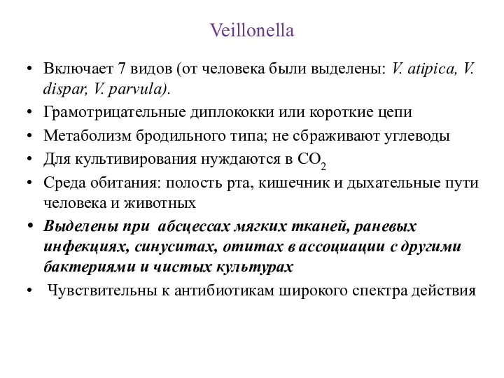 Veillonella Включает 7 видов (от человека были выделены: V. atipica,