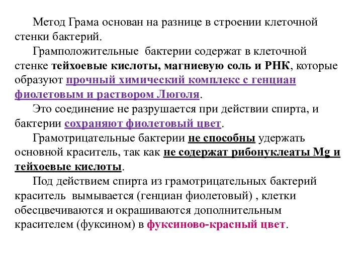 Метод Грама основан на разнице в строении клеточной стенки бактерий.