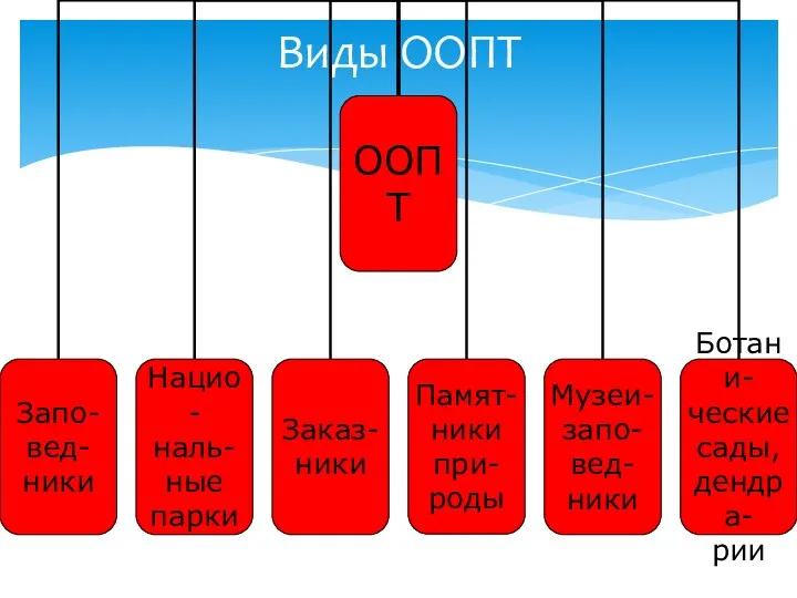 Виды ООПТ