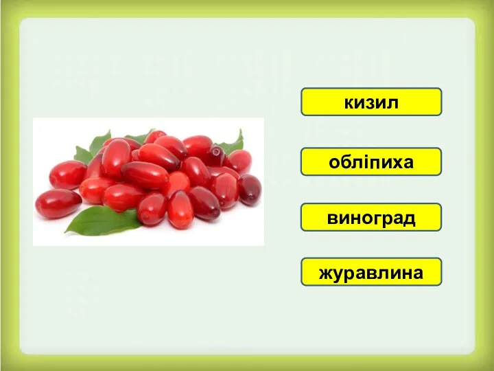 кизил журавлина виноград обліпиха