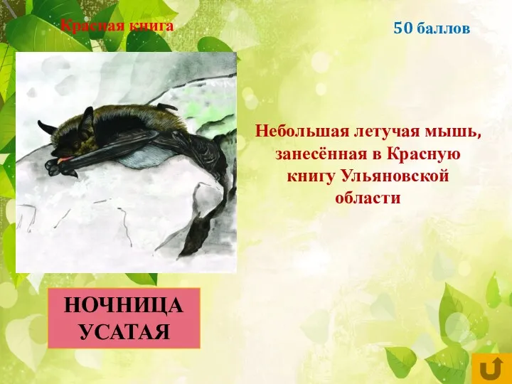 50 баллов Небольшая летучая мышь, занесённая в Красную книгу Ульяновской области НОЧНИЦА УСАТАЯ Красная книга