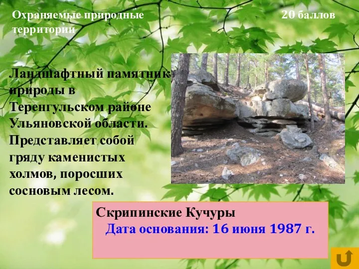 20 баллов Ландшафтный памятник природы в Теренгульском районе Ульяновской области. Представляет собой гряду