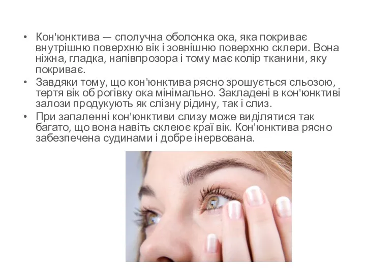 Кон'юнктива — сполучна оболонка ока, яка покриває внутрішню поверхню вік і зовнішню поверхню