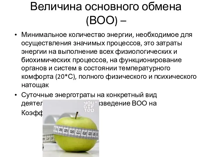 Величина основного обмена (ВОО) – Минимальное количество энергии, необходимое для