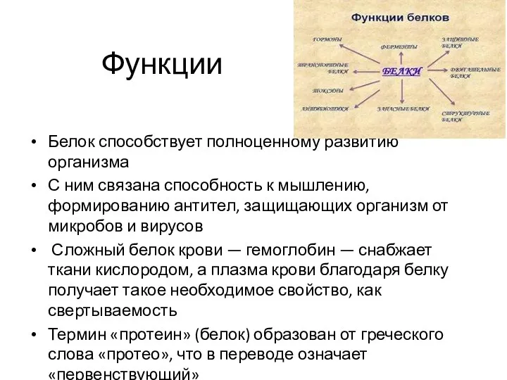 Функции Белок способствует полноценному развитию организма С ним связана способность