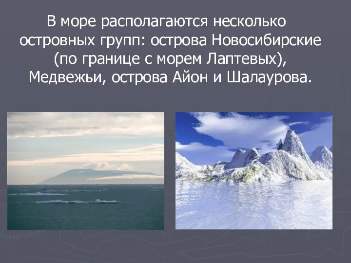 В море располагаются несколько островных групп: острова Новосибирские (по границе