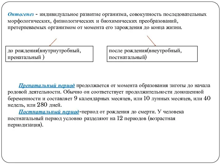 после рождения(внеутробный, постнатальный) Онтогенез - индивидуальное развитие организма, совокупность последовательных морфологических, физиологических и