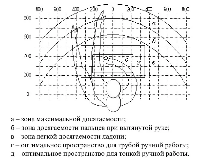 а – зона максимальной досягаемости; б – зона досягаемости пальцев