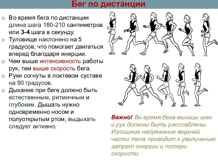 Во время бега по дистанции длина шага 180-210 сантиметров или