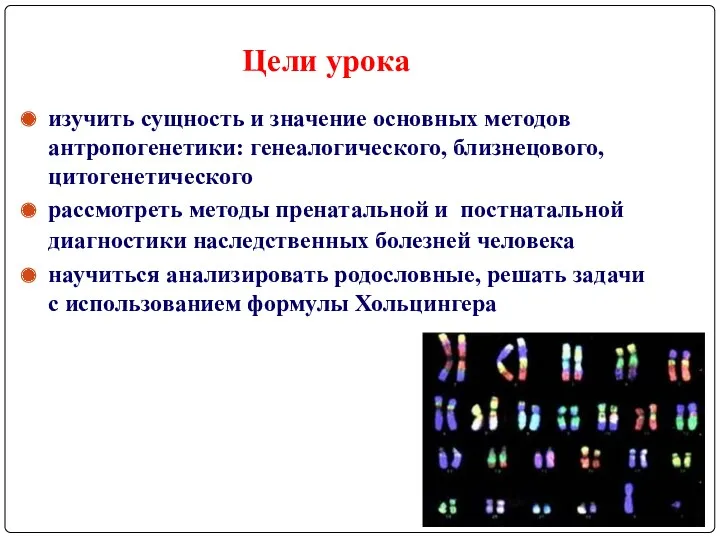 изучить сущность и значение основных методов антропогенетики: генеалогического, близнецового, цитогенетического