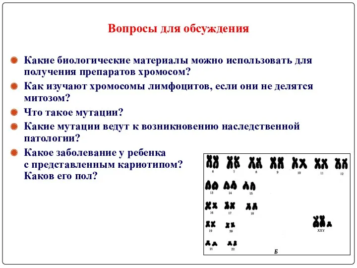 Вопросы для обсуждения Какие биологические материалы можно использовать для получения