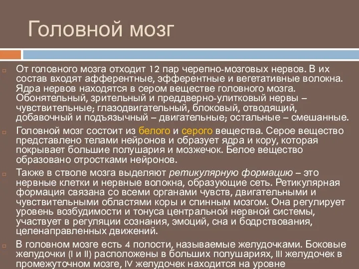 Головной мозг От головного мозга отходит 12 пар черепно-мозговых нервов.