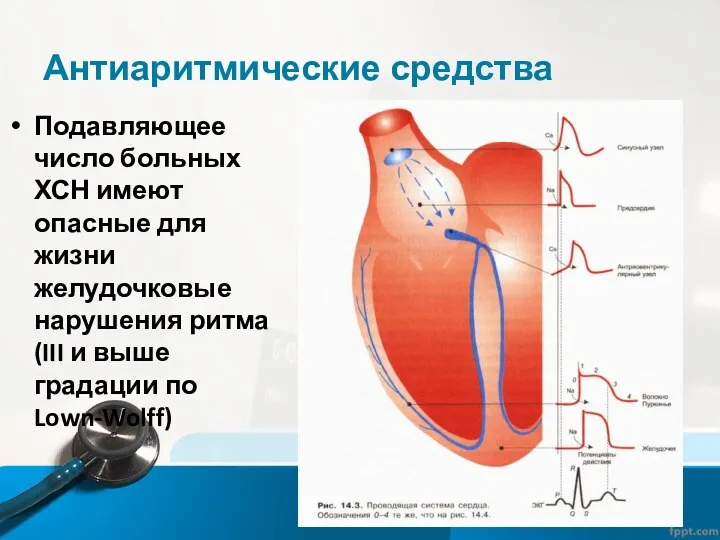 Антиаритмические средства Подавляющее число больных ХСН имеют опасные для жизни