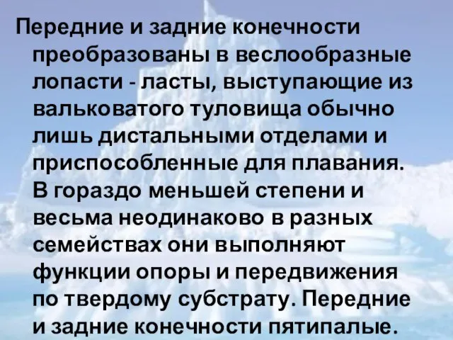 Передние и задние конечности преобразованы в веслообразные лопасти - ласты,