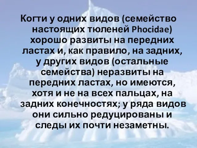 Когти у одних видов (семейство настоящих тюленей Phocidae) хорошо развиты