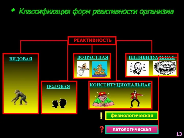 * Классификация форм реактивности организма РЕАКТИВНОСТЬ ВИДОВАЯ ПОЛОВАЯ КОНСТИТУЦИОНАЛЬНАЯ ИНДИВИДУАЛЬНАЯ физиологическая патологическая ВОЗРАСТНАЯ 13