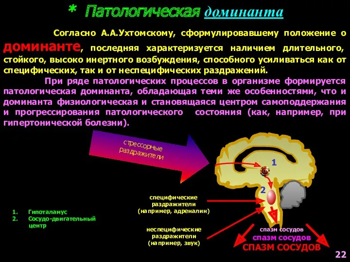 * Патологическая доминанта Согласно А.А.Ухтомскому, сформулировавшему положение о доминанте, последняя