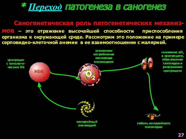 * Переход патогенеза в саногенез Саногенетическая роль патогенетических механиз-мов –