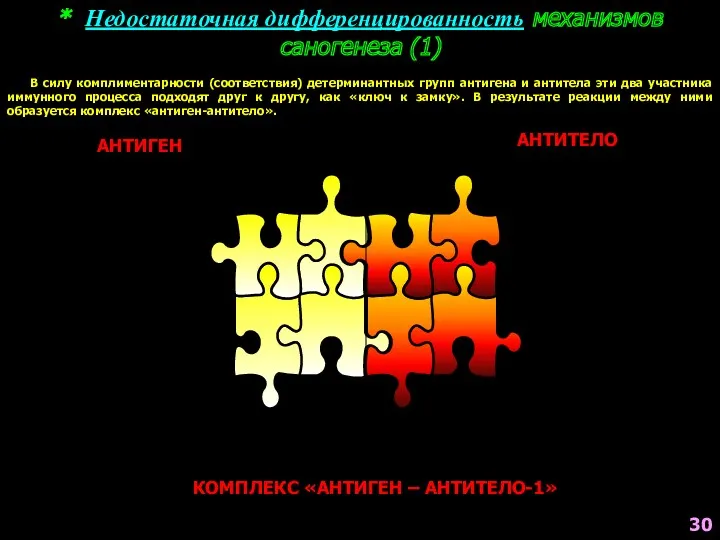 * Недостаточная дифференцированность механизмов саногенеза (1) АНТИГЕН АНТИТЕЛО КОМПЛЕКС «АНТИГЕН