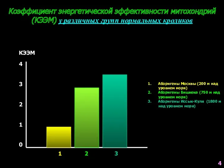 Коэффициент энергетической эффективности митохондрий (КЭЭМ) у различных групп нормальных кроликов