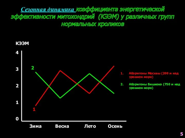 Сезонная динамика коэффициента энергетической эффективности митохондрий (КЭЭМ) у различных групп